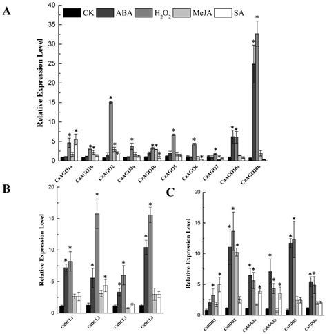 Ijms Free Full Text Genome Wide Analysis Of Dcl Ago And Rdr Gene