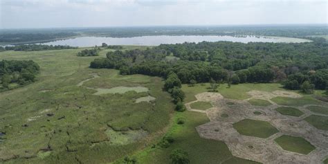 About Cedar Creek Ecosystem Science Reserve | College of Biological ...