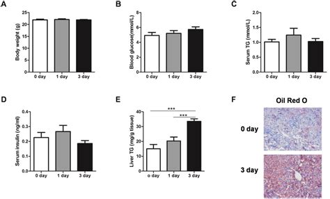 Short Term Hfd Increases Hepatic Tg Contents In Mice A E Body Weight Download Scientific