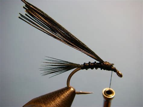 How To Tie Teds Early Black Stonefly Nymph Pattern