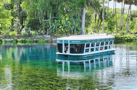 All You Need To Know About Silver Springs State Park, Florida | The ...