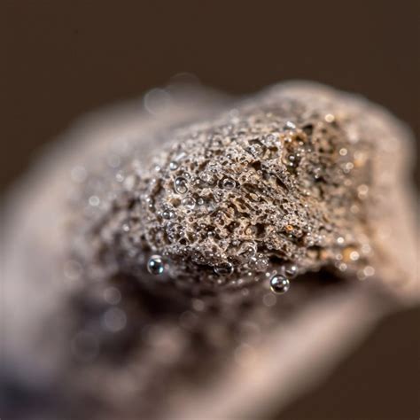 How Do Micro-Influencers Compare to Macro-Influencers in Driving Sales