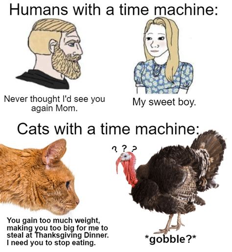 Thanksgiving Cat Memes