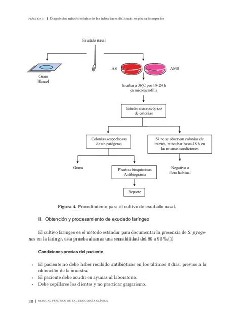 Manual De Bacteriologia