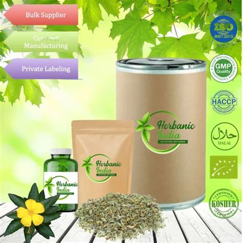 Damiana Leaf Extract at ₹ 515/kg | Kanpur | ID: 2849577471930
