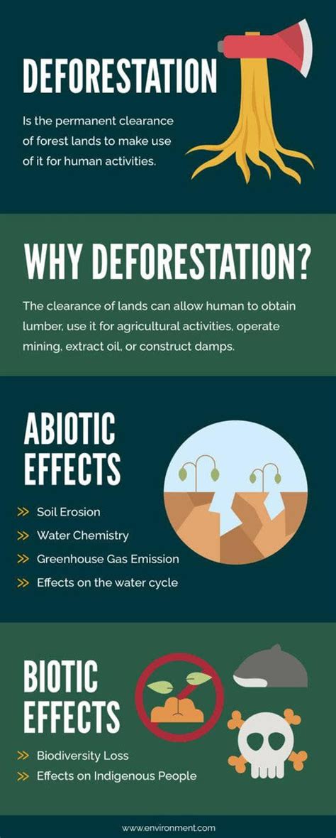 Deforestation Environment Infographic Template – Infografolio