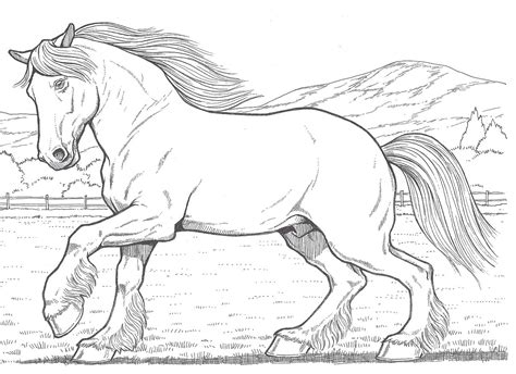 10 Top Clydesdale Horse Coloring Pages