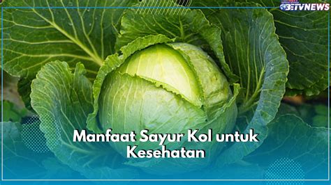 Manfaat Sayur Kol Yang Murah Meriah Dengan Gizi Melimpah