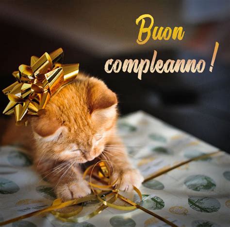 Immagini Di Buon Compleanno Al Gatto 50 Biglietti Di Auguri Gratis