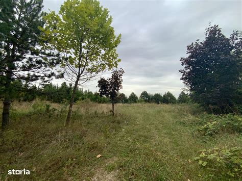 1 082 50 m² teren de vanzare Sibiu judet Cristian 8462543