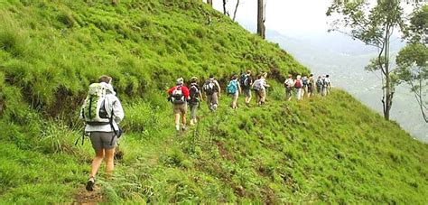 Hiking & Trekking in Sri Lanka | Tourism Sri Lanka