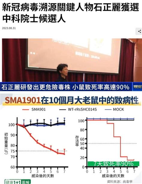 新聞 武漢病毒所石正麗警告：全球「極有可能」爆發另一種冠狀病毒大流行 Ptt Hito