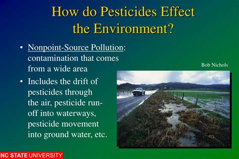 Ppt Environmental Effects Of Pesticides Powerpoint Presentation Free