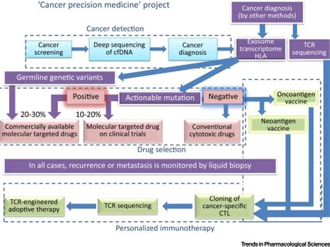 Cancer Precision Medicine From Cancer Screening To Drug Selection And