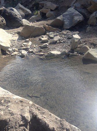 Penny Hot Springs Carbondale All You Need To Know Before You Go With Photos TripAdvisor