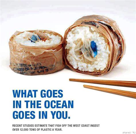 Water Pollution Awareness Ad Creative Advertising Print Ads Clever