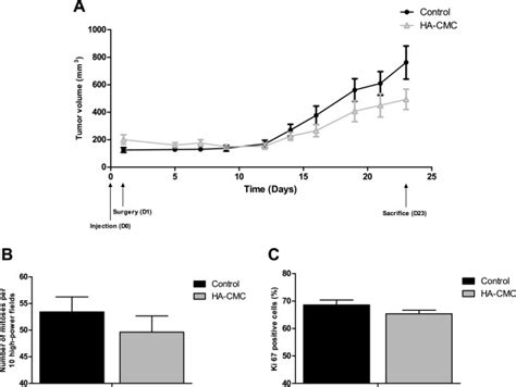 Impact Of Ha Cmc Barrier On Ovarian Sc Tumor Xenografts A Skov 3