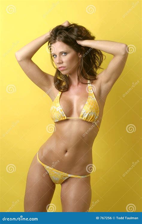 Reizvolles Bikini Baumuster Stockfoto Bild Von Sommer Bikini 767256