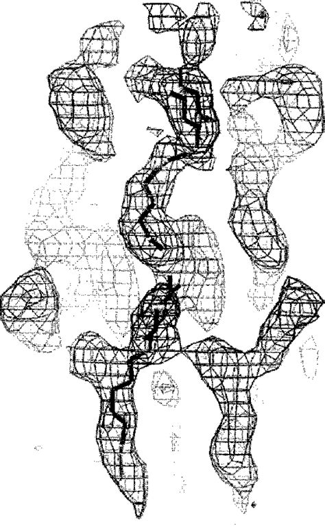 Figure 2 from Apoprotein structure in the LH2 complex from ...