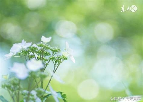 未來3個月，好運不斷，桃花遍地的3大星座 每日頭條