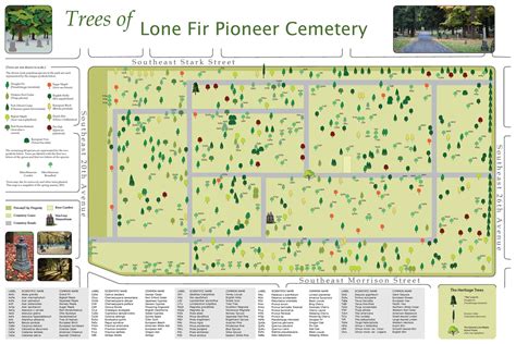 Dan Coe Carto Lone Fir Cemetery Tree Identification Maps