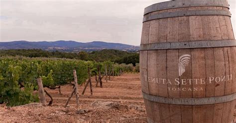 Tenuta Sette Ponti Winery In Tuscany Winetourism