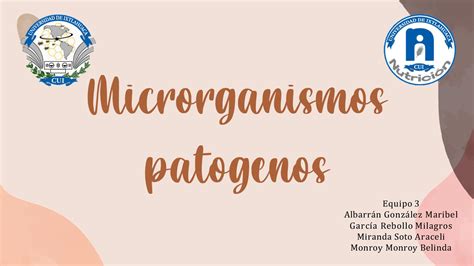 Calaméo Microorganismos Patogenos