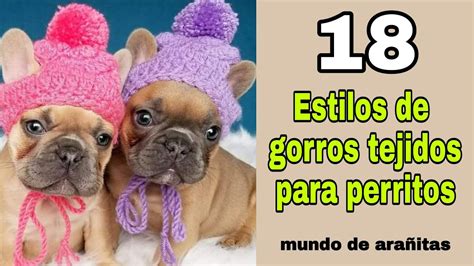 Gorros Tejidos Para Perritos Hermosos Estilos Youtube