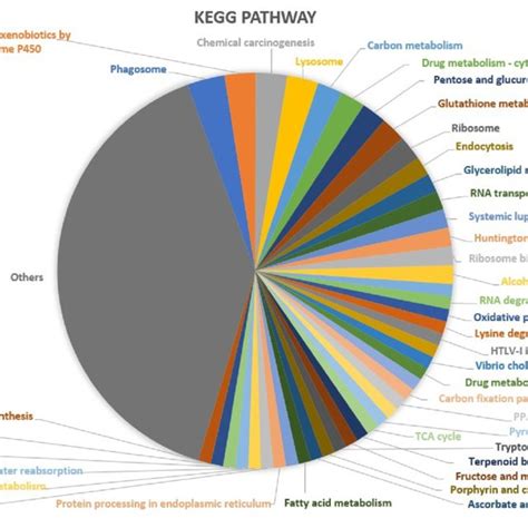 Kegg Functional Classification Of The Identified Proteins In The