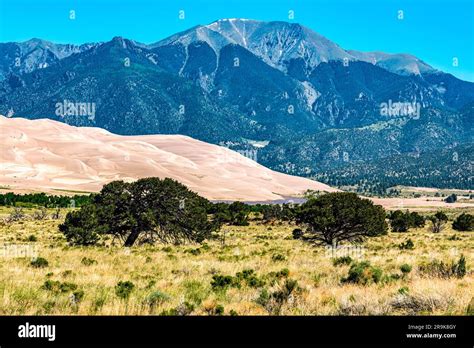 Great Sand Dunes In The Morning Light Against The Sangre De Cristo