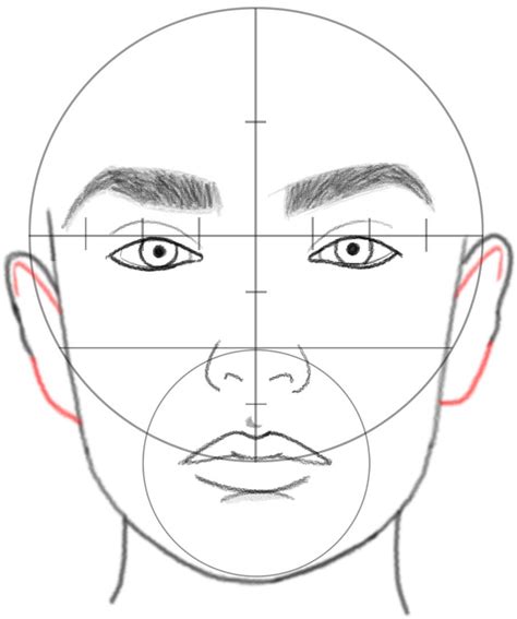 How To Draw A Face In Basic Proportions Drawing Beautiful Female Face Tutorial How To Draw