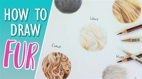 How To Draw Fur Colored Pencil Drawing Tutorial Youtube