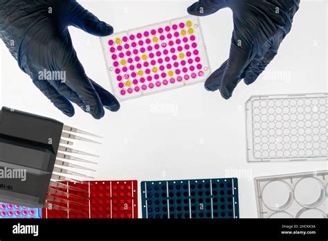 Enzyme Linked Immunosorbent Assay Elisa 96 Well Micro Plate