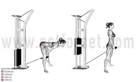 14 best cable machine leg glute exercises – Artofit