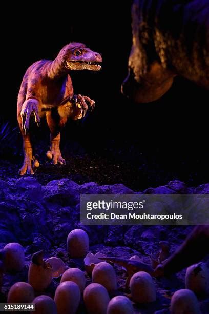 Deinonychus Skeleton Fotografías E Imágenes De Stock Getty Images