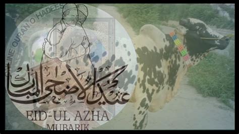 June Eid Ul Azha In Pakistan Bari Eid Eid Mubarik