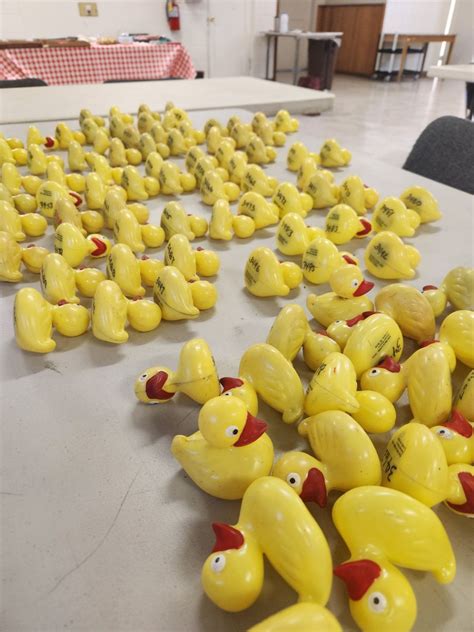 Preparations Underway For Annually Rubber Ducky Race Plumas News