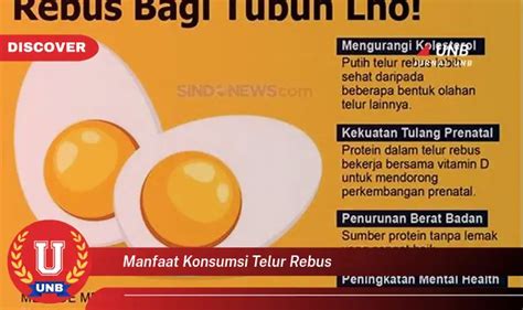 Temukan Manfaat Konsumsi Telur Rebus Yang Wajib Kamu Intip