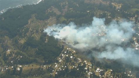 Senapred Evacua Sectores Por Incendio Forestal En Laguna Verde