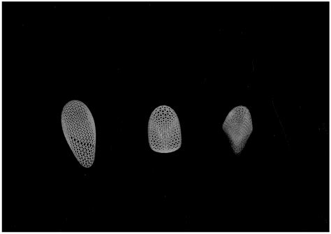 3D Biological Printing :: Behance