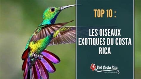 Notre Top 10 Du Costa Rica Inspirez Vous