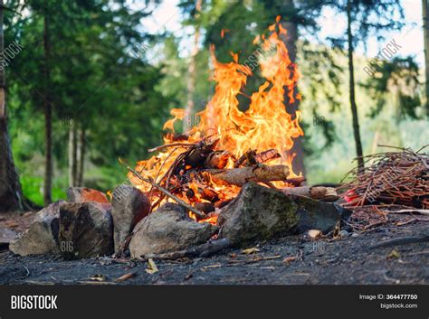 Bonfire Forest Dusk Image And Photo Free Trial Bigstock