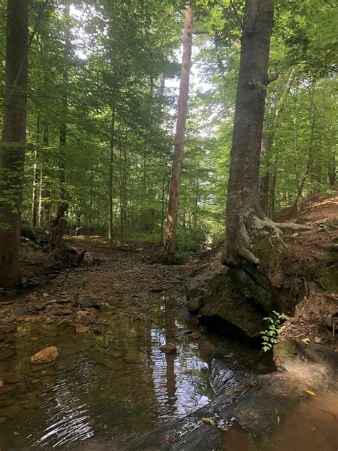 Lake Johnson East Loop Trail - North Carolina | AllTrails