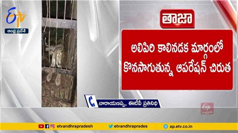 తిరుమల కాలినడక మార్గంలో చిక్కిన ఐదో చిరుత Another Leopard Caught At