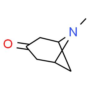 Methyl Aza Bicyclo Heptan One Cas J W Pharmlab