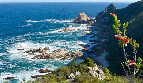 The Garden Route Discover Africa