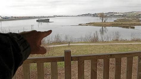 La Importancia De Educar A Los Jóvenes Sobre Las Aves | Loros Y Guacamayos