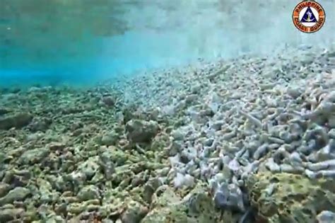 Dfa Naglabas Ng Pahayag Ukol Sa Pagkasira Ng Mga Bahura Sa Rozul Reef