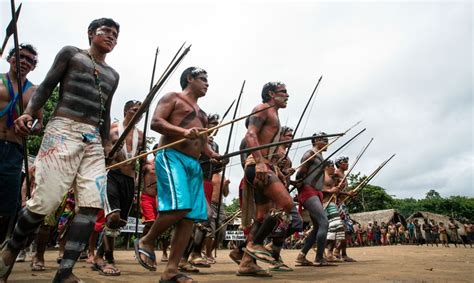 Massacre Em Rea Yanomami Em J Rendeu Condena O Por Genoc Dio