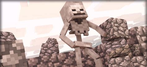 Minecraft Skeleton Wallpapers Wallpapers